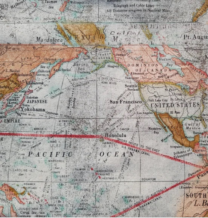 Maps expedition canvas cloth by Tim Holtz for Free Spirit one yard cuts