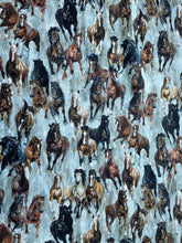 Load image into Gallery viewer, Stallion Bundles by Northcott Fabrics
