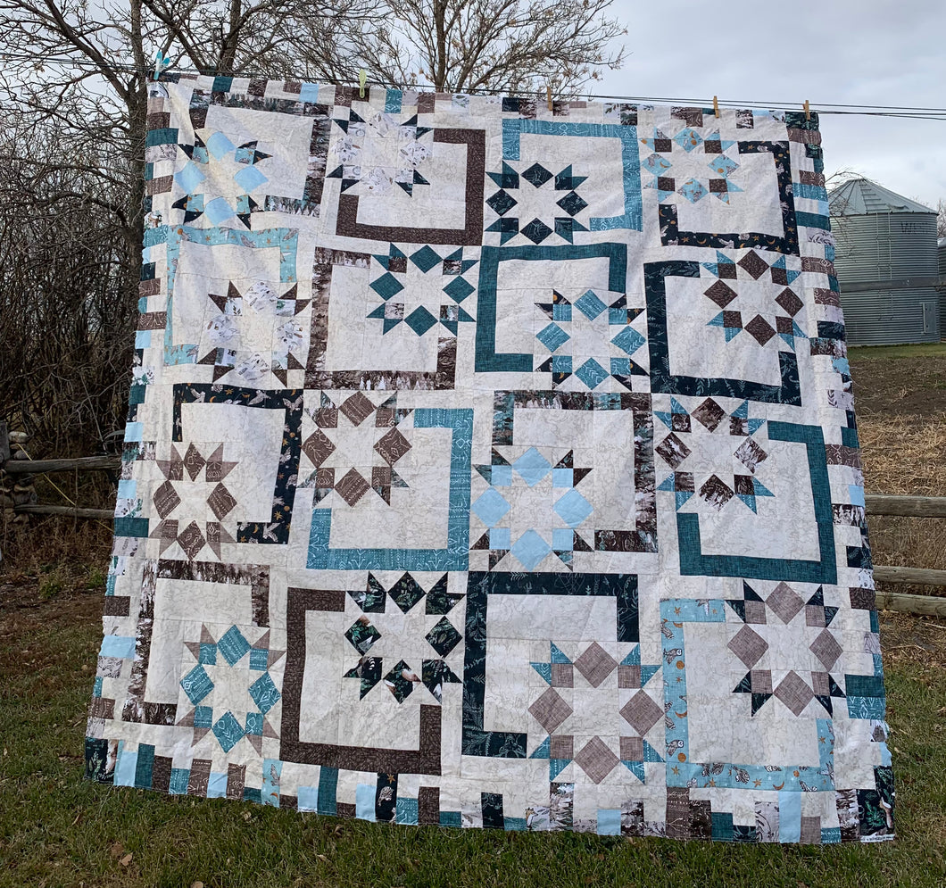Inverted Framed Star Quilt